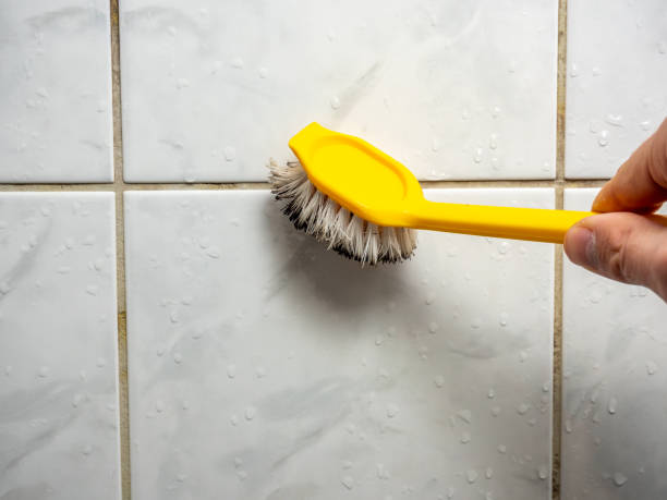 Best Attic Mold Removal  in Bloomingdale, NJ