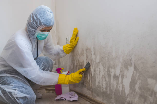 Best Mold Removal Process  in Bloomingdale, NJ
