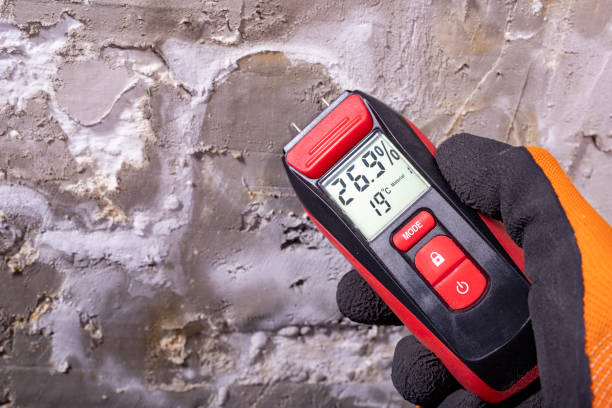 Certified Mold Removal in Bloomingdale, NJ