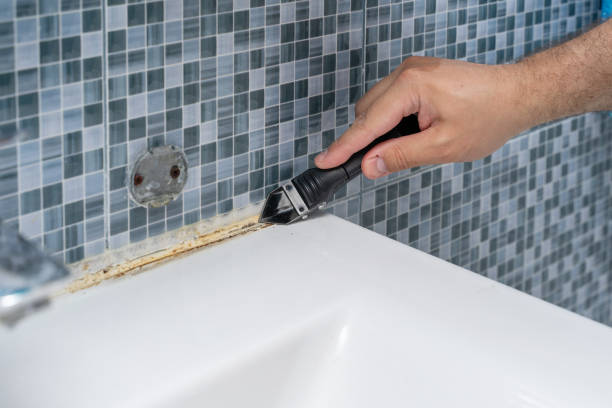 Best Local Mold Removal Service  in Bloomingdale, NJ