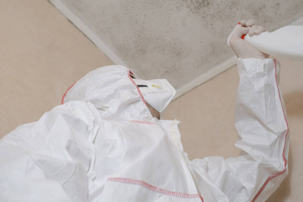 Best Professional Mold Removal  in Bloomingdale, NJ