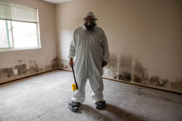 Professional Mold Removal in Bloomingdale, NJ