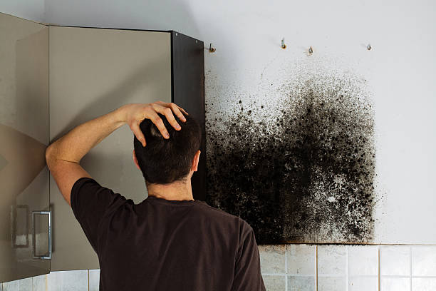 Best Black Mold Removal  in Bloomingdale, NJ